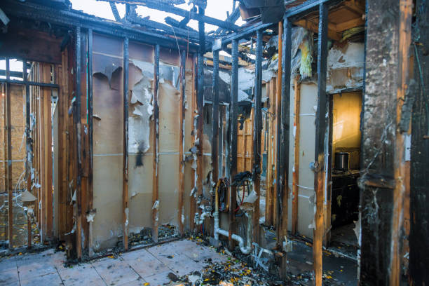Professional Fire Damage Assessment technician working in Au Sable, MI